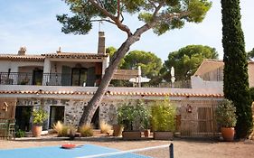 Beija Flor Bed And Breakfast